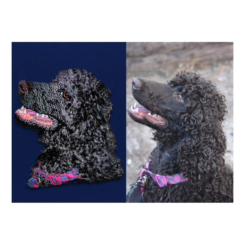 Image Embroidery Digitizing for Pets